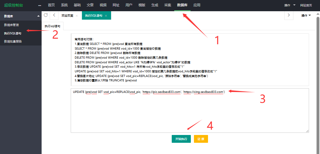 03-苹果CMS高级替换截图